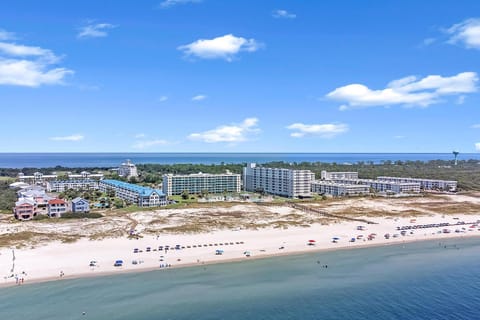Property building, Bird's eye view