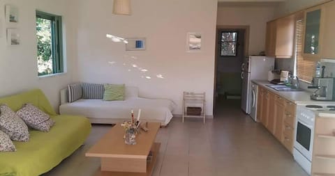 Living room, kitchen