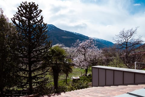 View (from property/room)