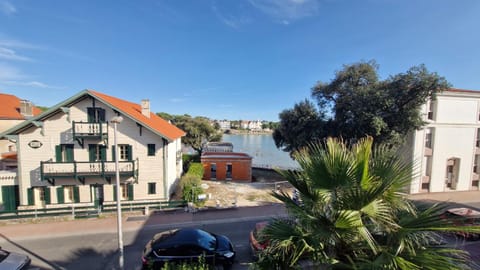 Day, Neighbourhood, Sea view, Location