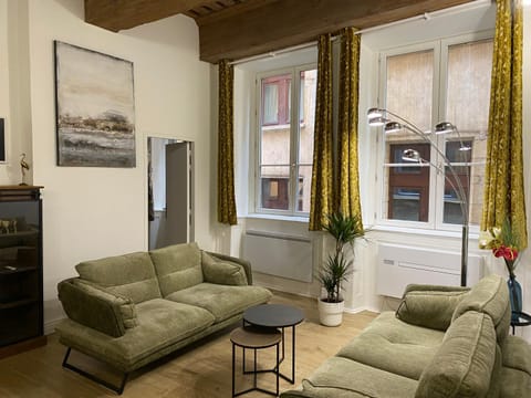 Presqu'ile Saint Nizier coeur de Lyon classé 4* Apartment in Lyon