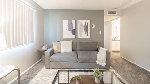 Landing Modern Apartment with Amazing Amenities (ID7515X32) Apartment in Albuquerque