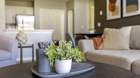 Landing Modern Apartment with Amazing Amenities (ID9835X53) Apartment in Tanasbourne