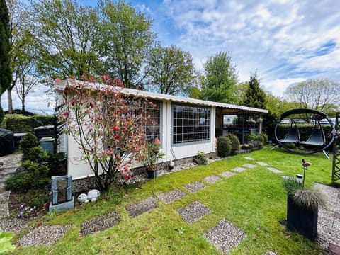 Patio, Garden, Garden view