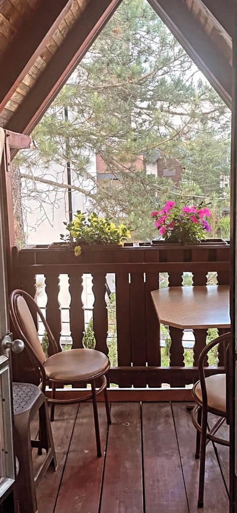 Vila Miris borova Zlatibor CENTAR Apartment in Zlatibor