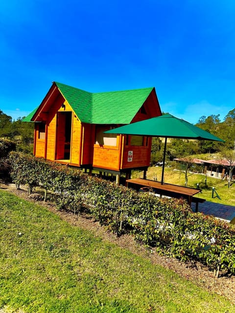 Property building, Natural landscape, Garden view