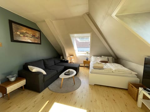 Bed, TV and multimedia, Living room, Photo of the whole room, Seating area, Bedroom, towels