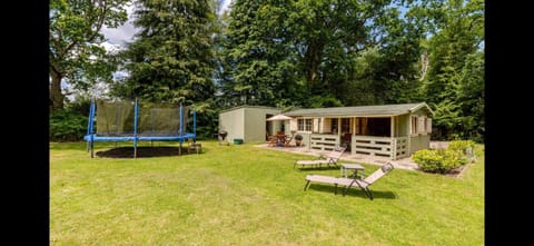 Family friendly sunny Log Cabin Cabin in East Dorset District