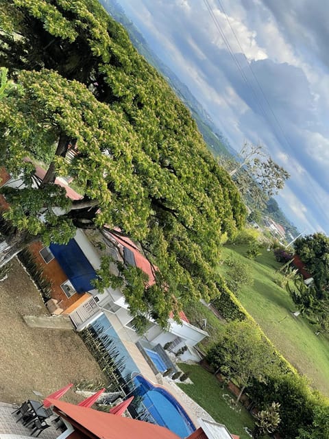 Natural landscape, Bird's eye view
