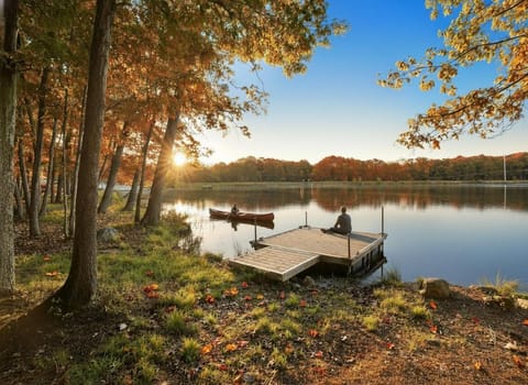 Day, Natural landscape, Activities, Lake view