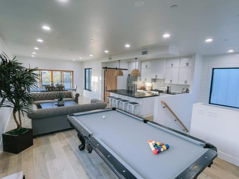 Billiard, Kitchen or kitchenette, Living room, Photo of the whole room, Seating area
