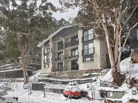 Property building, Winter