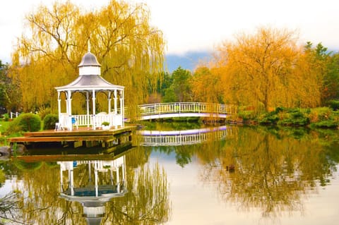 Nearby landmark, Natural landscape, Garden