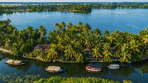 Lake view