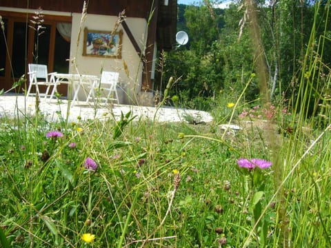 Patio, Garden