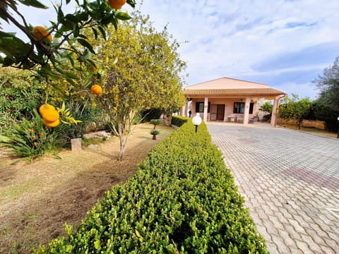 Garden, Garden