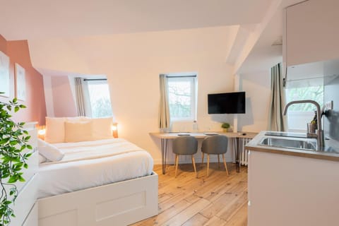 Lille center equipped studio Apartment in Lille