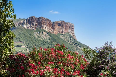 Day, Natural landscape, Garden view, Landmark view