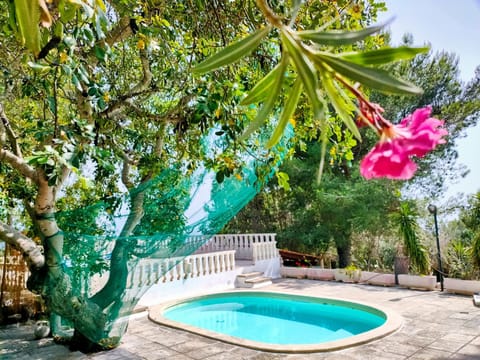 Garden view, Swimming pool, Swimming pool