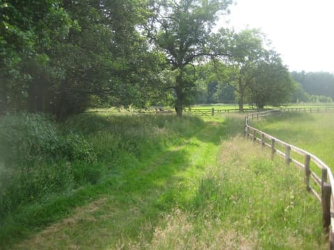 Blackberry Lodge House in Borough of Harrogate