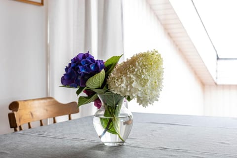 Ferienwohnung im Haus Kempkens Apartment in Lindau