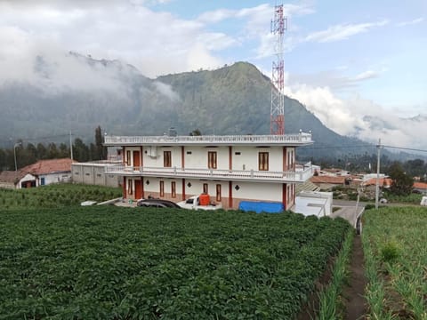 Property building, Day, Natural landscape, Garden, Garden view, Landmark view, Mountain view