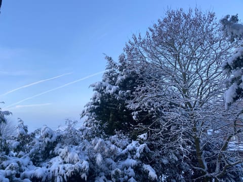 Natural landscape, Winter, View (from property/room)