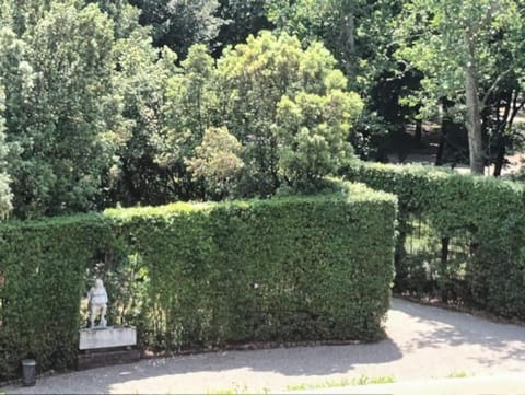 Natural landscape, Garden view, Garden view