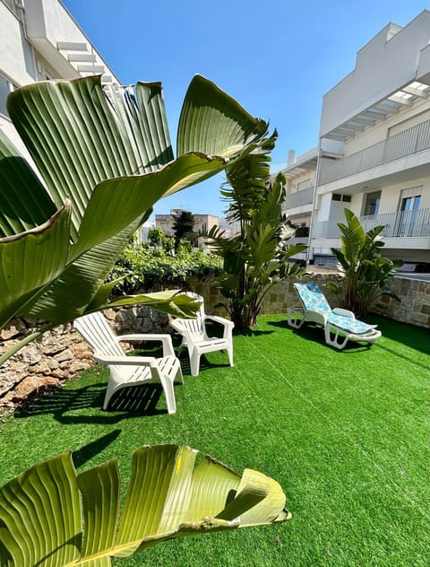 Garden, Garden view, sunbed