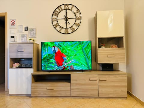 TV and multimedia