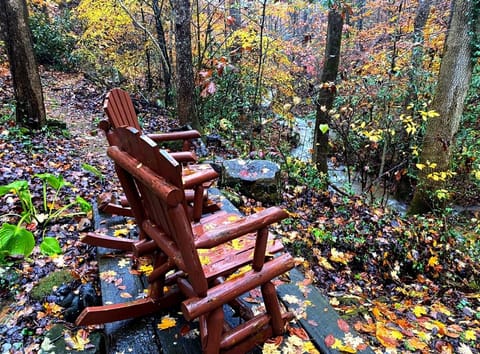 Waterfall Woods Lodge 4 br, 5 bath property including tiny house suite, private waterfallcreek! House in Sevier County