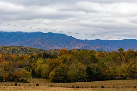 Sweet Mountain Memories Relax affordably cozy cabin with hot tub, game room, and mountain views! Cabin in Cosby