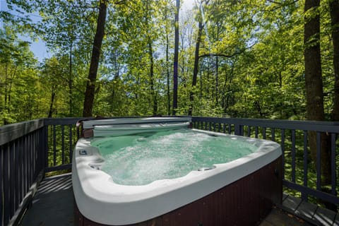 Free tickets! Sleeps 10 SECLUDED Cosby cabin on 7 acres w hot tub, game room! Cabin in Cosby