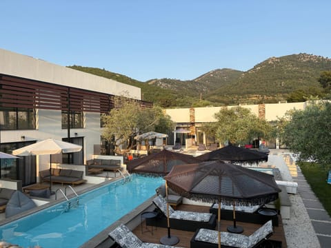 The Olive Hills Hotel in Thasos