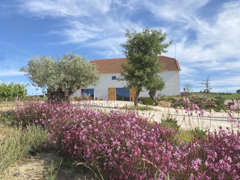 Property building, Day, Natural landscape, Garden, Garden view