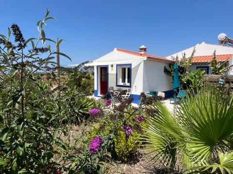 Property building, Garden, Garden view