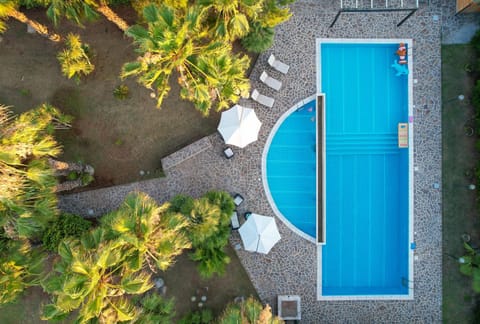 Property building, Day, Garden, Garden view, Pool view, Swimming pool, sunbed