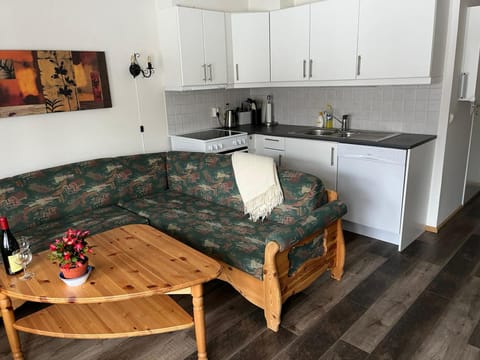 Living room, kitchen