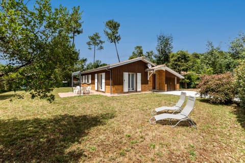 Patio, Garden, Garden view