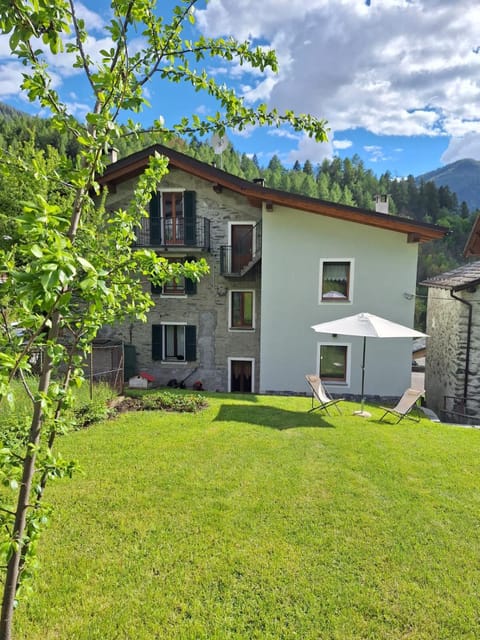 Day, Natural landscape, Garden, Garden view, Mountain view