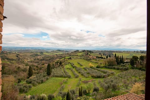 Natural landscape, Bird's eye view