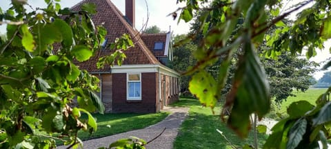 Property building, Garden view