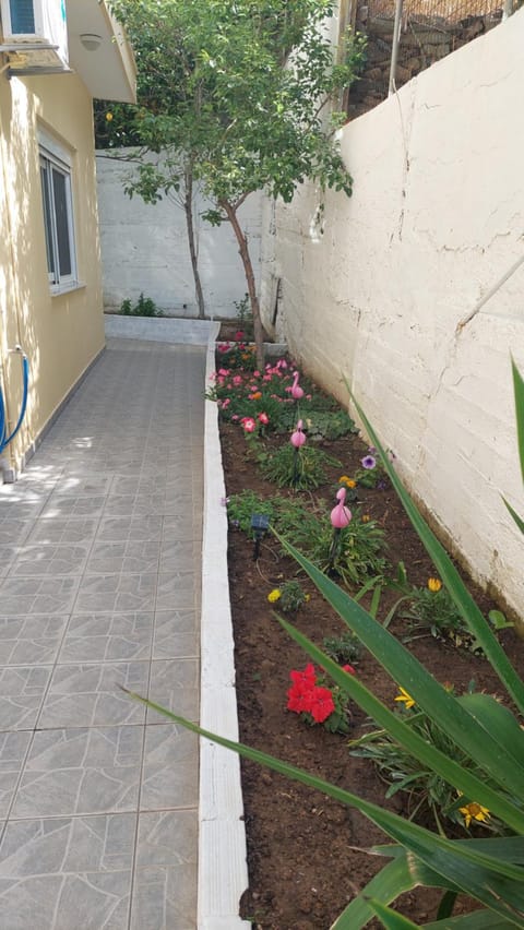 Inner courtyard view