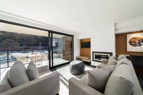 Patio, TV and multimedia, Seating area, fireplace