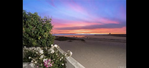 6 Bedroom Remodeled Home on the Oceanfront House in Newport Beach