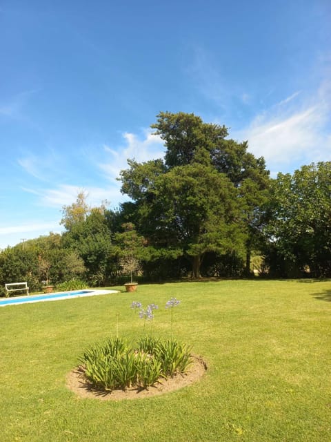 Garden, Swimming pool