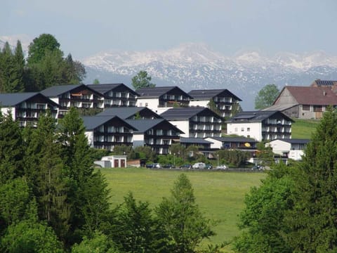 Property building, Summer