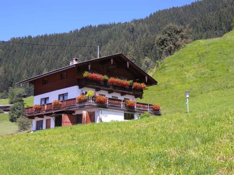 Property building, Summer