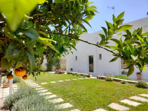 Spring, Day, Garden, Garden view