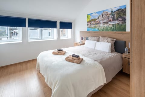 NOMAD APARTMENTS - Vue collégiale Apartment in Dinant